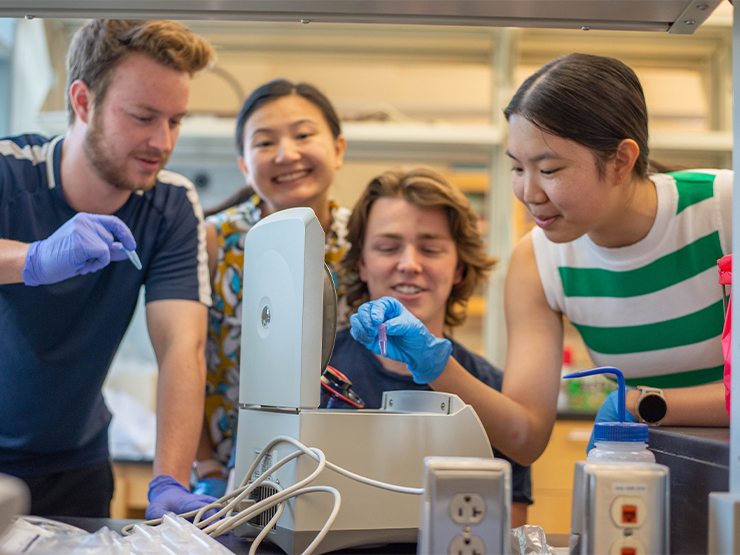 A group of four students are gathered around equipment in a biology lab as they work together on a research project.