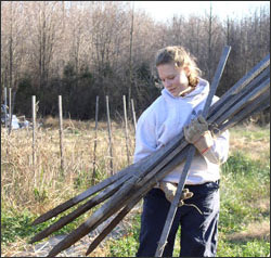 Biology Department Programs