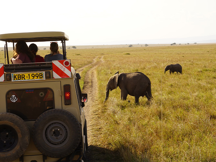 A safari vehicle drives along a dirt road on an open savanna where elephants are grazing.