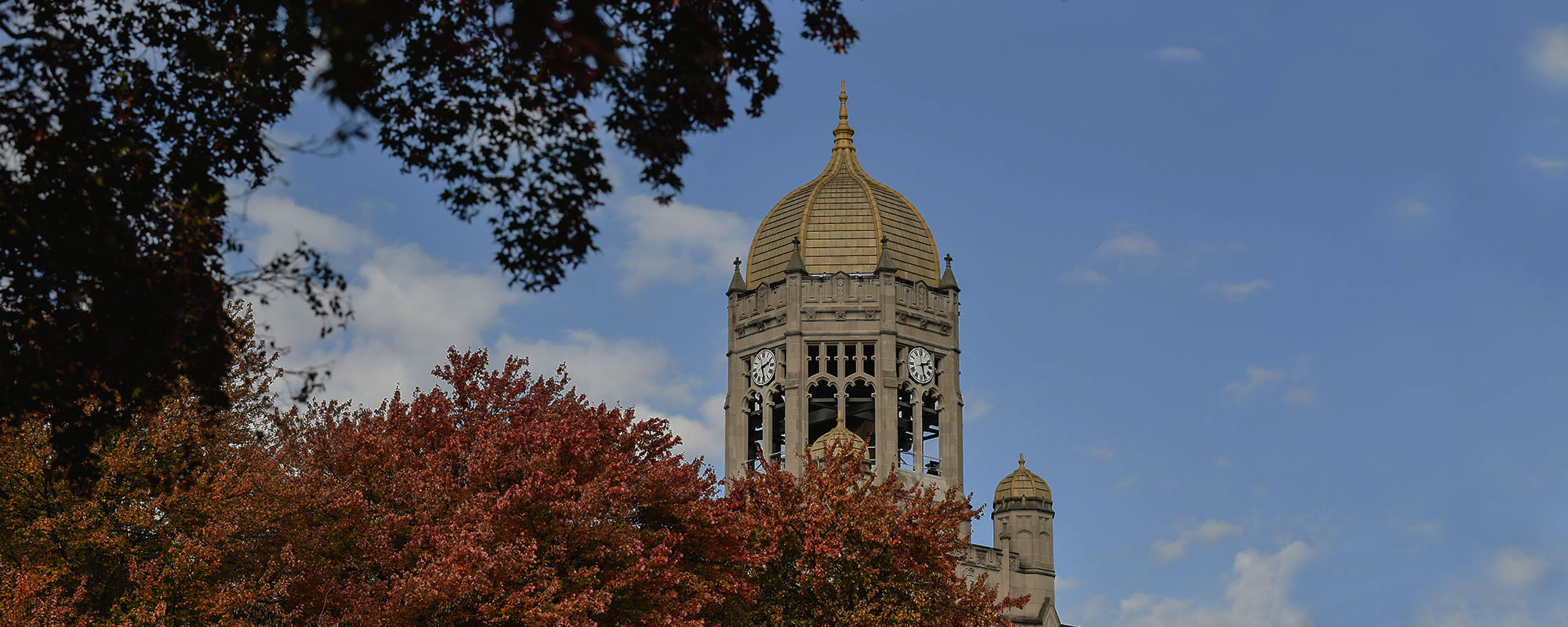 The Haas College Center clocktower tower seen from afar beyond the leaves of two trees on a sunny day.