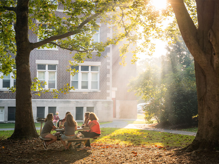 A group of college students sit together at a picnic table under a tree with rays of sunlight filtering through the leaves.