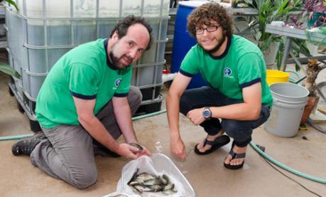 Image of aquaculture and sustainability in Muhlenberg's New Science building