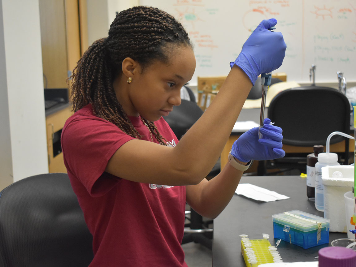 A college student in a red shirt wearing blue gloves does chemistry research