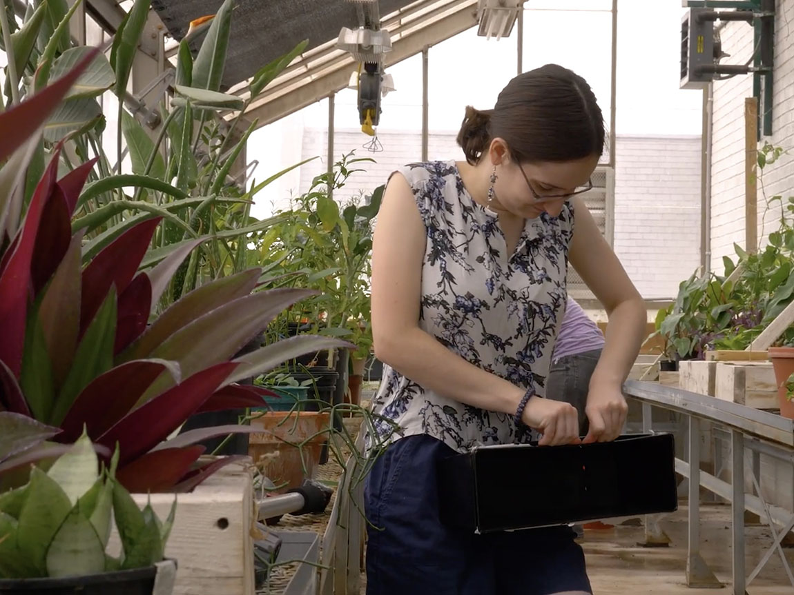 A college student in a greenhouse holds a planter box